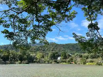 大覚寺(京都府)