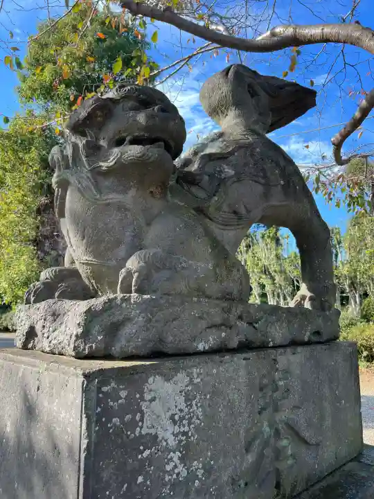 鷲宮神社(埼玉県)
