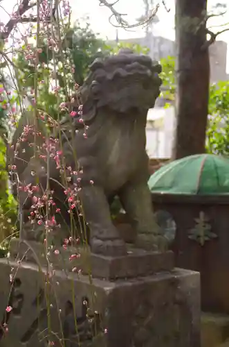 筑土八幡神社の狛犬