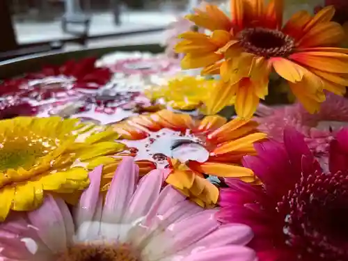 滑川神社 - 仕事と子どもの守り神の手水舎