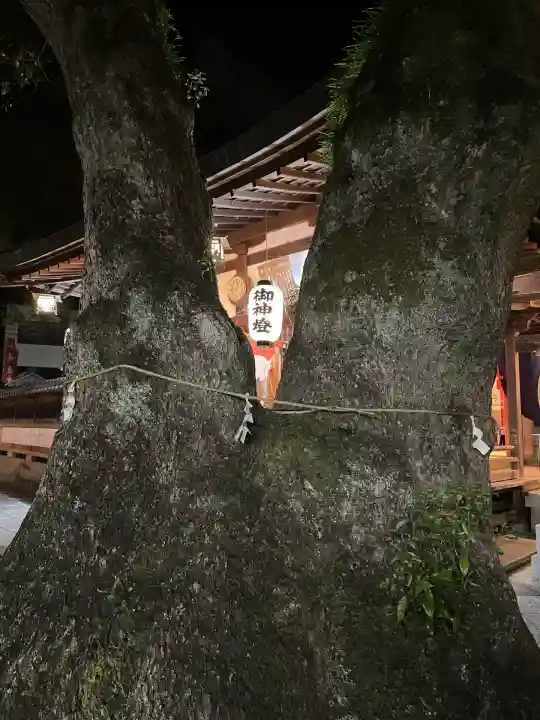 蟻通神社(和歌山県)