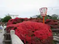 長岡天満宮の自然