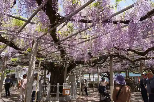 大歳神社(兵庫県)