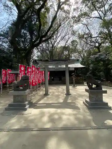 筥崎宮の鳥居