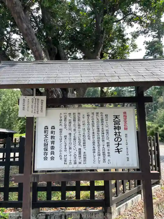 天宮神社(静岡県)