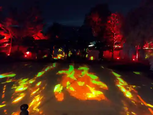 高台寺（高台寿聖禅寺・高臺寺）(京都府)