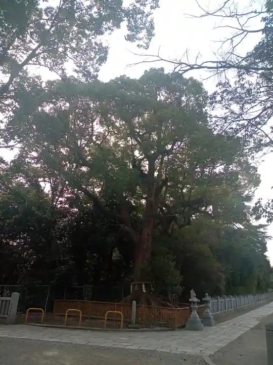 和泉國一之宮 大鳥大社(大阪府)