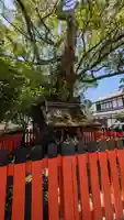 藤木社(賀茂別雷神社末社)(京都府)