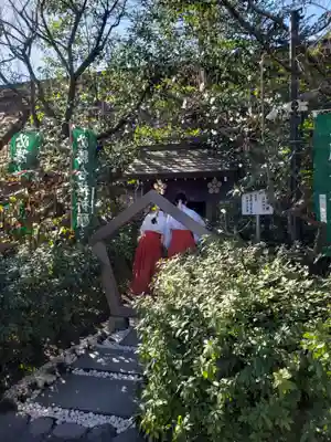 阿佐ヶ谷神明宮(東京都)