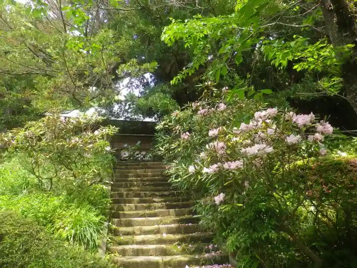 浄光明寺の庭園