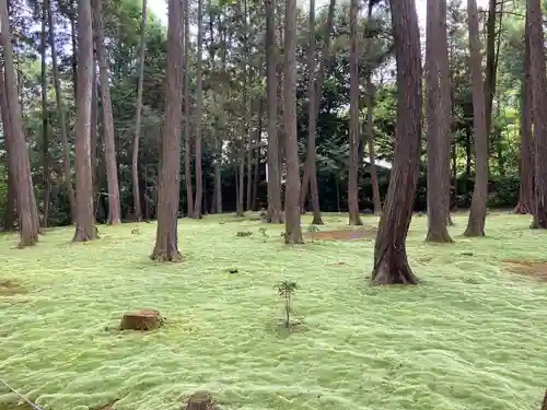 唐招提寺(奈良県)