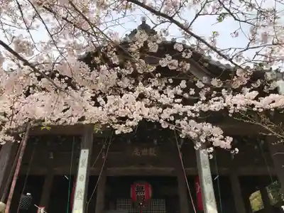 金剛宝寺（紀三井寺）の本殿・本堂