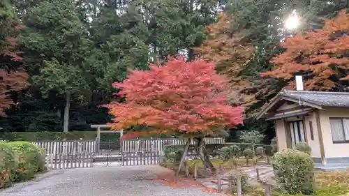 後鳥羽天皇・順徳天皇　大原陵(京都府)