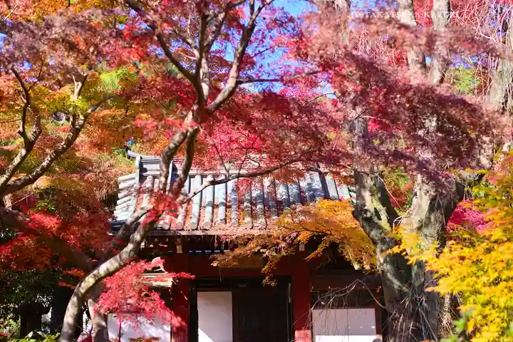 本土寺(千葉県)