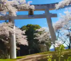 北山神社の鳥居