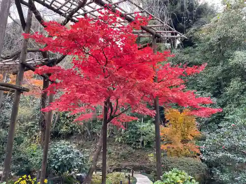 一條殿 新善光寺(京都府)