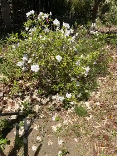 飯島八坂神社(神奈川県)