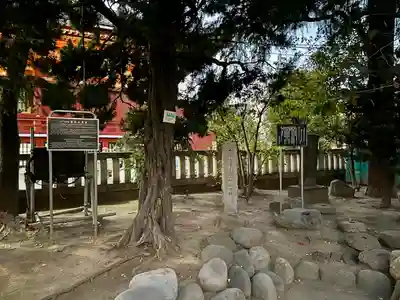 浅草神社(東京都)