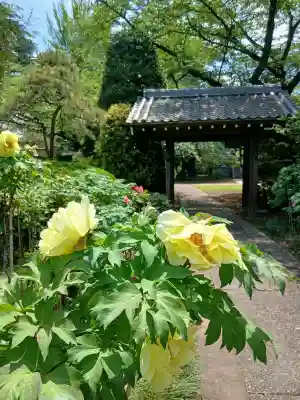 金乘院の{uncategorized: "未分類", other: "その他", undefined: "問題あり", building: "その他建物", grave: "お墓", sacred_gate: "鳥居", guardian: "狛犬", statue: "像", buddha: "仏像", history: "歴史", nature: "自然", garden: "庭園", animal: "動物", pagoda: "塔", temizu: "手水舎", mountain_gate: "山門・神門", sanctuary: "本殿・本堂", subordinate: "末社・摂社", art: "芸術", scenery: "景色", jizo: "地蔵", ema: "絵馬", goshuin: "御朱印", omikuji: "おみくじ", items: "授与品その他", amulet: "お守り", goshuincho: "御朱印帳", eats: "食事", festival: "お祭り", votive_dance: "神楽", shichigosan: "七五三参", wedding: "結婚式", experience: "体験その他", initially: "初詣", around: "周辺", anti_infection: "感染症対策"}