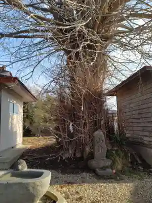 川崎神明社(宮城県)