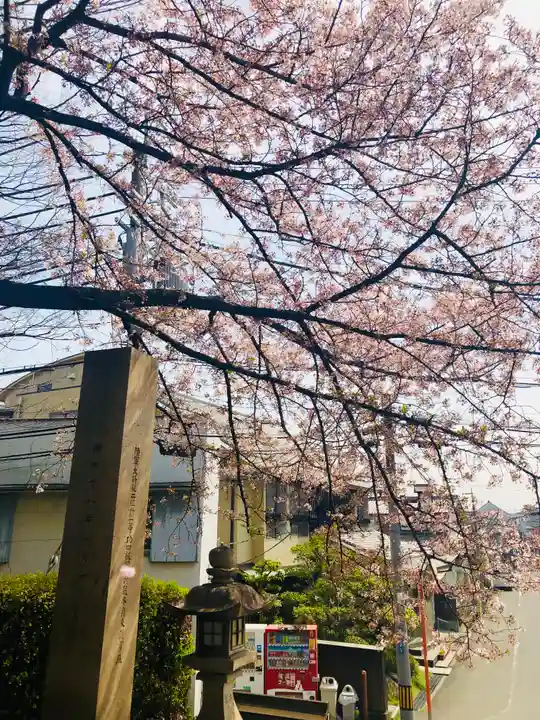 道明寺天満宮の自然