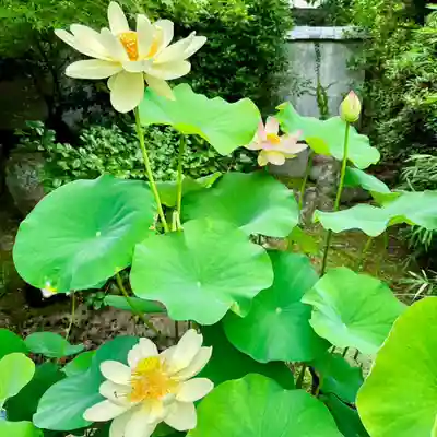 伊勢の国 四天王寺(三重県)