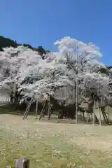 薄墨観音(岐阜県)