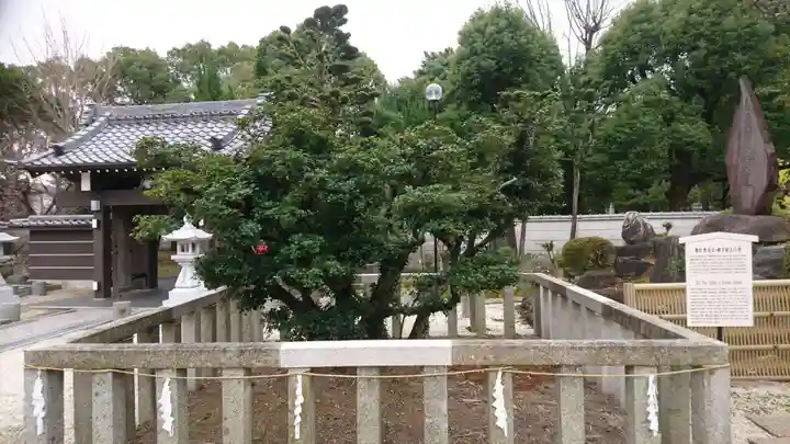 太閤山常泉寺の自然