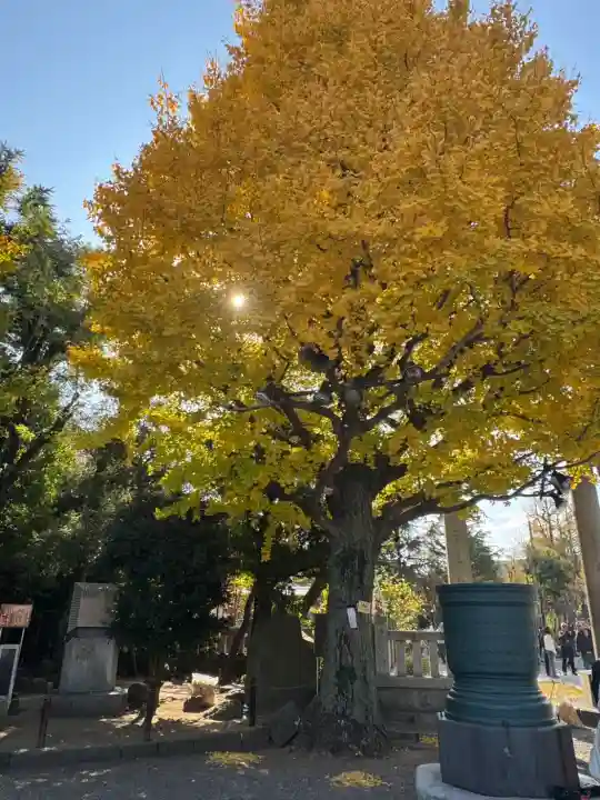 浅草神社(東京都)