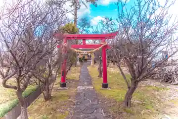 天神社(宮城県)