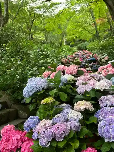 長谷寺(奈良県)