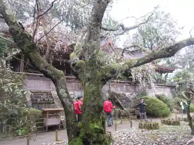 吉野水分神社（吉野町）のその他建物