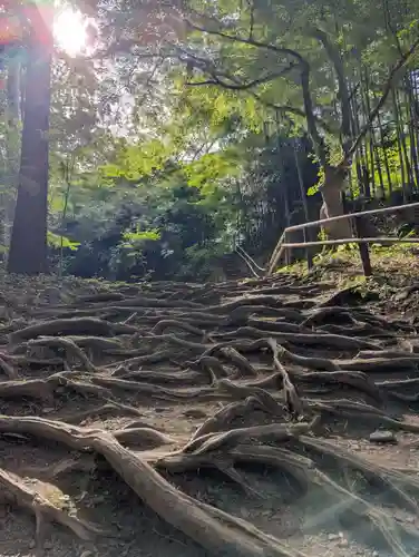 中尊寺(岩手県)