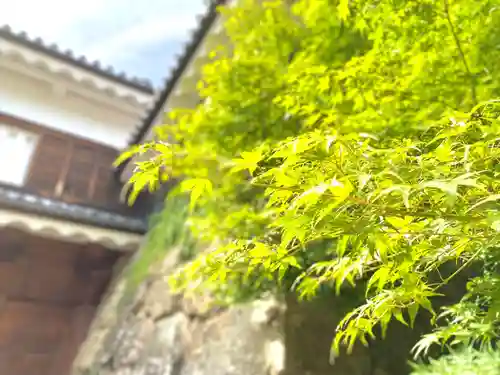 眞田神社(長野県)