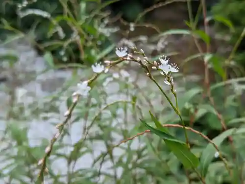 常光院(京都府)