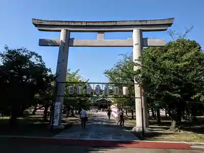 大阪護國神社の鳥居