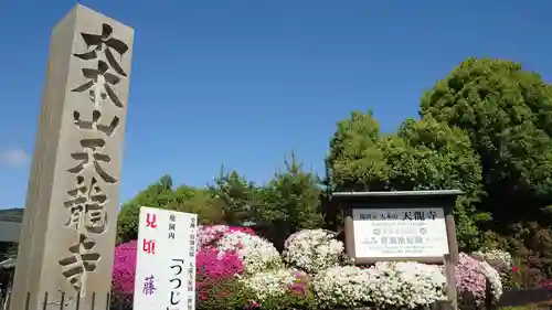 天龍寺(京都府)