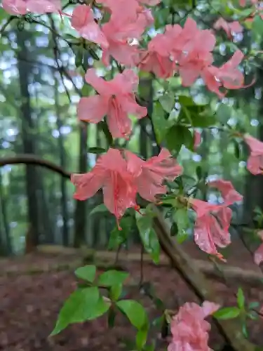 玉置神社(奈良県)