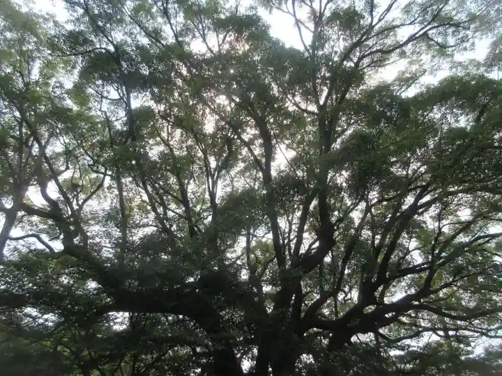 瀧山寺(愛知県)