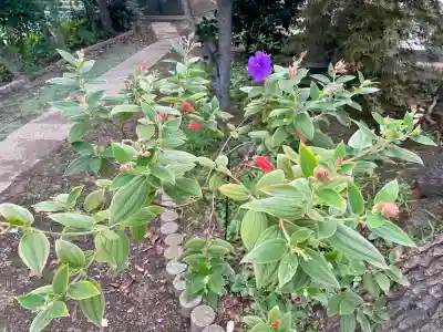 中田出世稲荷神社(東京都)