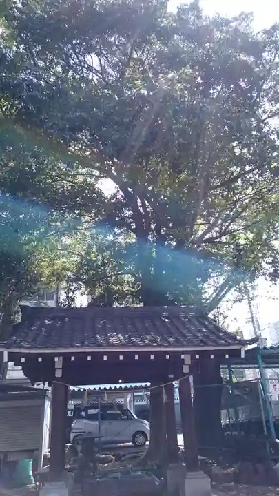 日置神社の手水舎