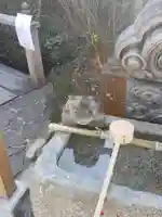 横浜御嶽神社の手水舎