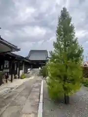 法華寺(栃木県)