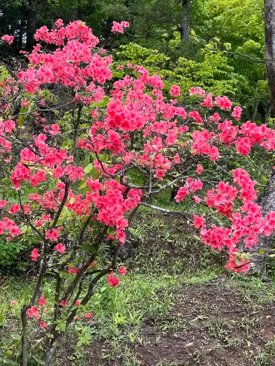 毛越寺(岩手県)