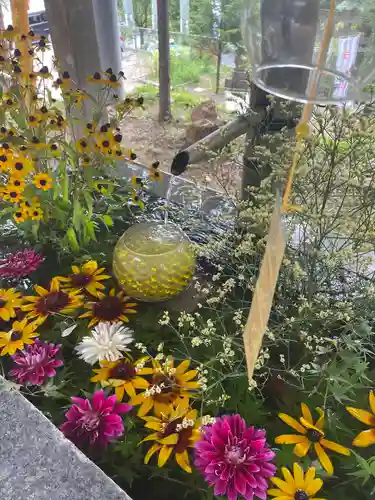 坂本八幡神社の手水