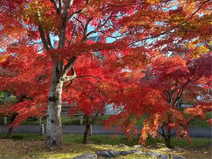 智積院(京都府)