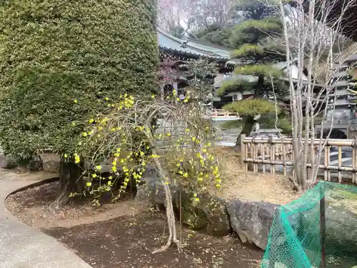 宗祐寺のその他建物