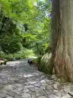 大神山神社奥宮(鳥取県)