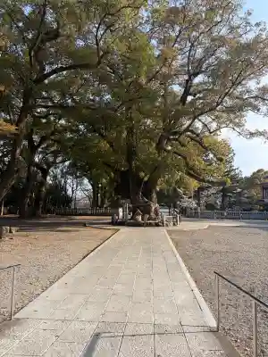 大麻比古神社の{uncategorized: "未分類", other: "その他", undefined: "問題あり", building: "その他建物", grave: "お墓", sacred_gate: "鳥居", guardian: "狛犬", statue: "像", buddha: "仏像", history: "歴史", nature: "自然", garden: "庭園", animal: "動物", pagoda: "塔", temizu: "手水舎", mountain_gate: "山門・神門", sanctuary: "本殿・本堂", subordinate: "末社・摂社", art: "芸術", scenery: "景色", jizo: "地蔵", ema: "絵馬", goshuin: "御朱印", omikuji: "おみくじ", items: "授与品その他", amulet: "お守り", goshuincho: "御朱印帳", eats: "食事", festival: "お祭り", votive_dance: "神楽", shichigosan: "七五三参", wedding: "結婚式", experience: "体験その他", initially: "初詣", around: "周辺", anti_infection: "感染症対策"}