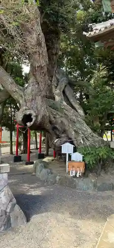 高塚熊野神社の庭園